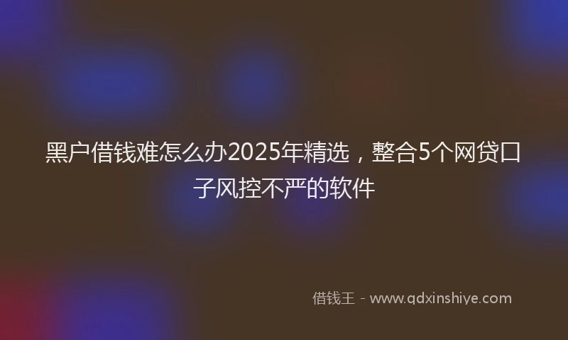 黑户借钱难怎么办2025年精选，整合5个网贷口子风控不严的软件