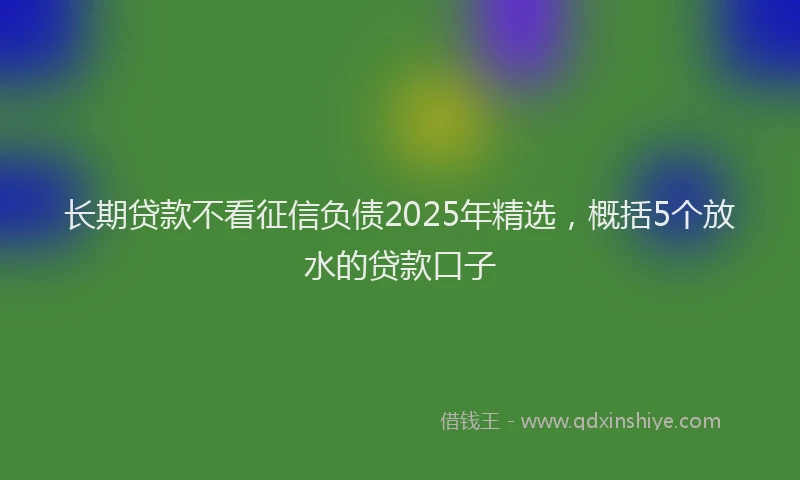 长期贷款不看征信负债2025年精选，概括5个放水的贷款口子
