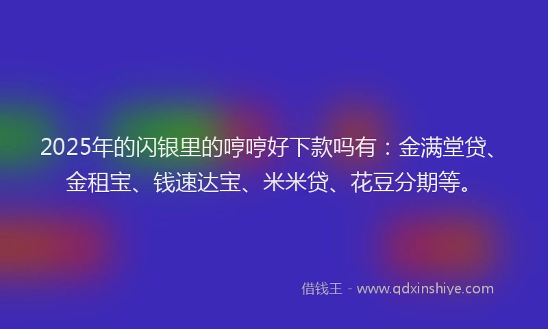 2025年的闪银里的哼哼好下款吗有：金满堂贷、金租宝、钱速达宝、米米贷、花豆分期等。