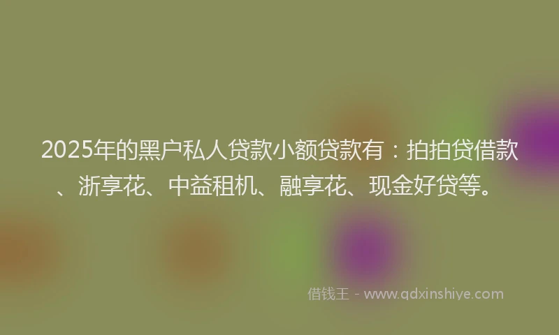 2025年的黑户私人贷款小额贷款有：拍拍贷借款、浙享花、中益租机、融享花、现金好贷等。