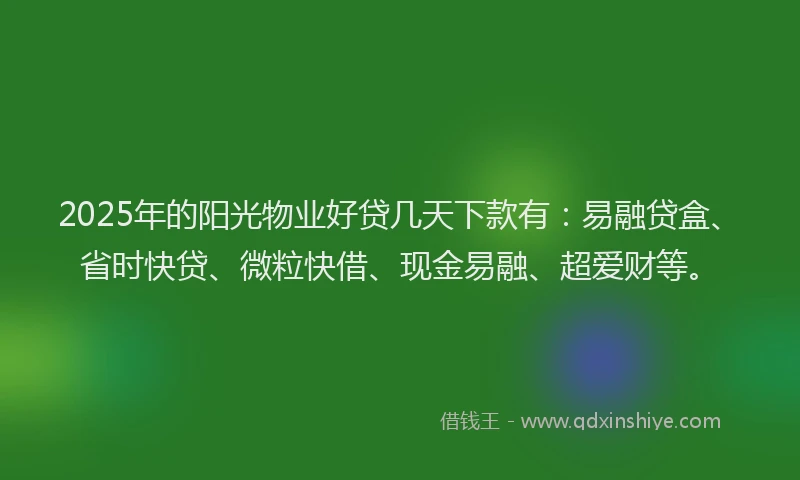 2025年的阳光物业好贷几天下款有：易融贷盒、省时快贷、微粒快借、现金易融、超爱财等。