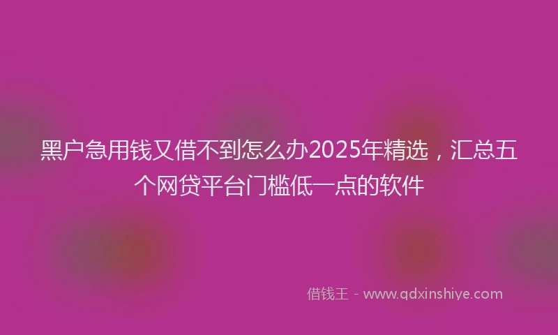 黑户急用钱又借不到怎么办2025年精选，汇总五个网贷平台门槛低一点的软件
