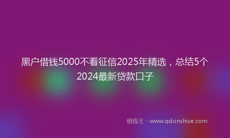 黑户借钱5000不看征信2025年精选，总结5个2024最新贷款口子