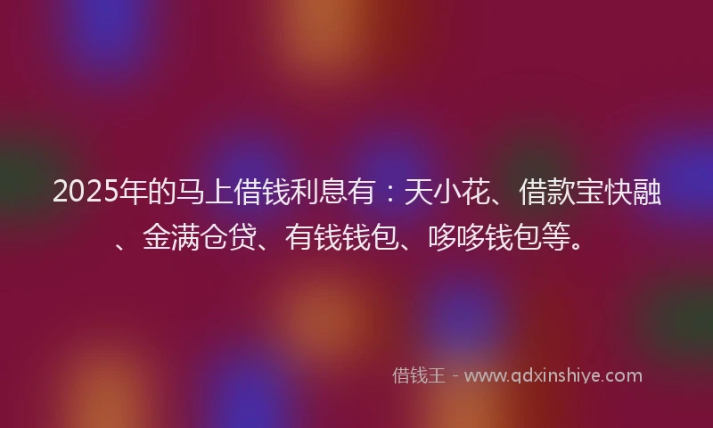2025年的马上借钱利息有：天小花、借款宝快融、金满仓贷、有钱钱包、哆哆钱包等。