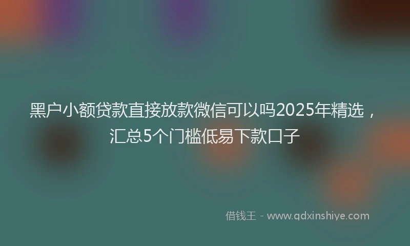 黑户小额贷款直接放款微信可以吗2025年精选，汇总5个门槛低易下款口子