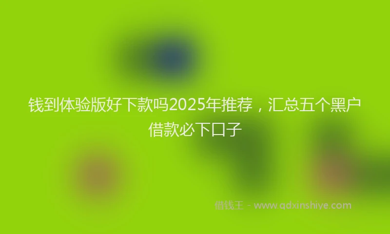 钱到体验版好下款吗2025年推荐，汇总五个黑户借款必下口子
