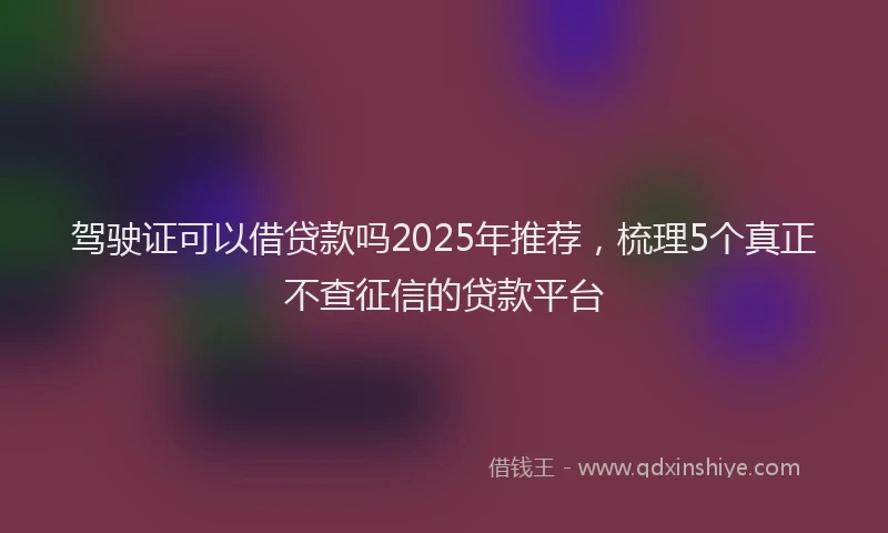 驾驶证可以借贷款吗2025年推荐，梳理5个真正不查征信的贷款平台