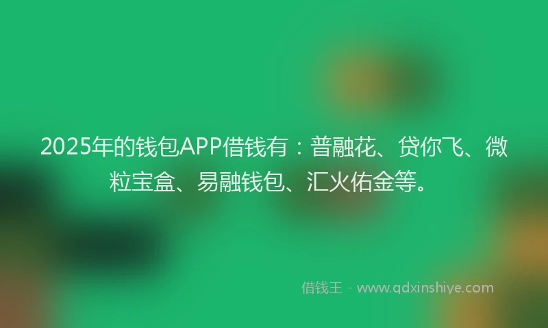 2025年的钱包APP借钱有：普融花、贷你飞、微粒宝盒、易融钱包、汇火佑金等。