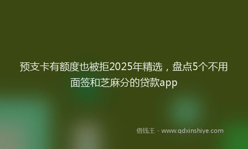 预支卡有额度也被拒2025年精选，盘点5个不用面签和芝麻分的贷款app