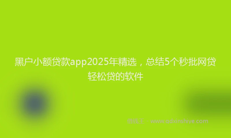 黑户小额贷款app2025年精选，总结5个秒批网贷轻松贷的软件