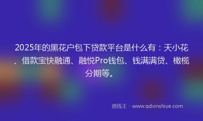 2025年的黑花户包下贷款平台是什么有：天小花、借款宝快融通、融悦Pro钱包、钱满满贷、橄榄分期等。