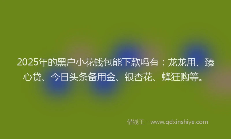2025年的黑户小花钱包能下款吗有：龙龙用、臻心贷、今日头条备用金、银杏花、蜂狂购等。