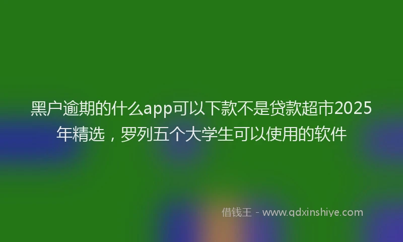黑户逾期的什么app可以下款不是贷款超市2025年精选，罗列五个大学生可以使用的软件