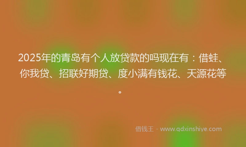 2025年的青岛有个人放贷款的吗现在有：借蛙、你我贷、招联好期贷、度小满有钱花、天源花等。