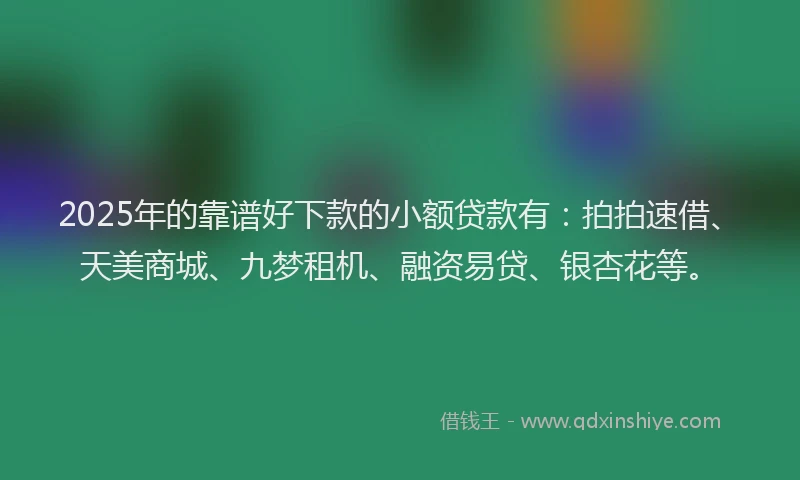 2025年的靠谱好下款的小额贷款有：拍拍速借、天美商城、九梦租机、融资易贷、银杏花等。