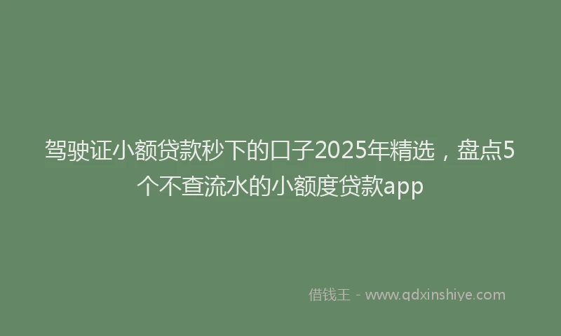 驾驶证小额贷款秒下的口子2025年精选，盘点5个不查流水的小额度贷款app