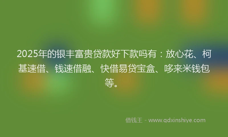 2025年的银丰富贵贷款好下款吗有：放心花、柯基速借、钱速借融、快借易贷宝盒、哆来米钱包等。