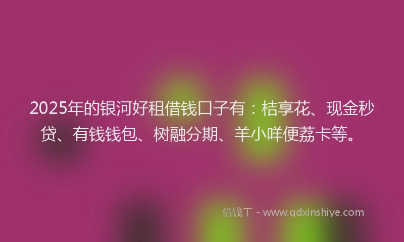 2025年的银河好租借钱口子有：桔享花、现金秒贷、有钱钱包、树融分期、羊小咩便荔卡等。