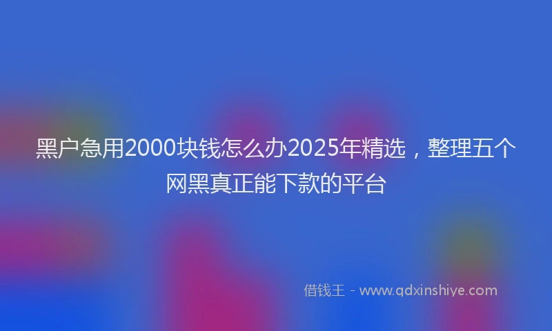黑户急用2000块钱怎么办2025年精选，整理五个网黑真正能下款的平台