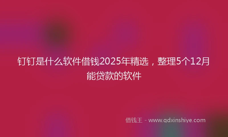 钉钉是什么软件借钱2025年精选，整理5个12月能贷款的软件