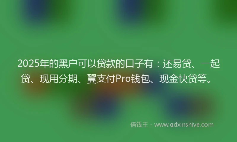 2025年的黑户可以贷款的口子有：还易贷、一起贷、现用分期、翼支付Pro钱包、现金快贷等。