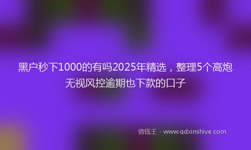 黑户秒下1000的有吗2025年精选，整理5个高炮无视风控逾期也下款的口子