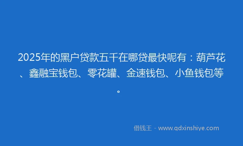 2025年的黑户贷款五千在哪贷最快呢有：葫芦花、鑫融宝钱包、零花罐、金速钱包、小鱼钱包等。
