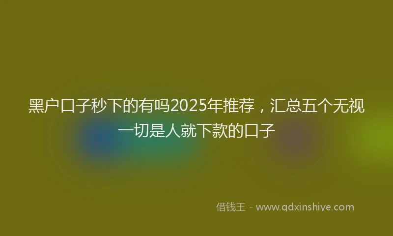黑户口子秒下的有吗2025年推荐，汇总五个无视一切是人就下款的口子