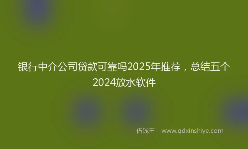银行中介公司贷款可靠吗2025年推荐，总结五个2024放水软件