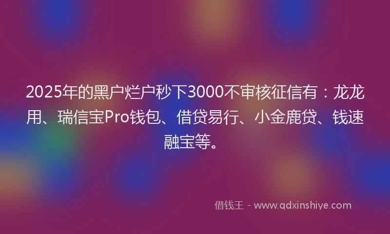 2025年的黑户烂户秒下3000不审核征信有：龙龙用、瑞信宝Pro钱包、借贷易行、小金鹿贷、钱速融宝等。