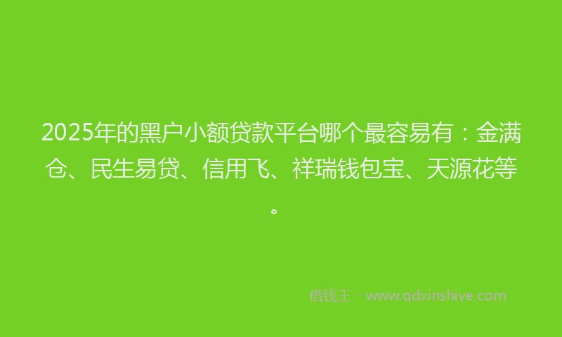 2025年的黑户小额贷款平台哪个最容易有：金满仓、民生易贷、信用飞、祥瑞钱包宝、天源花等。