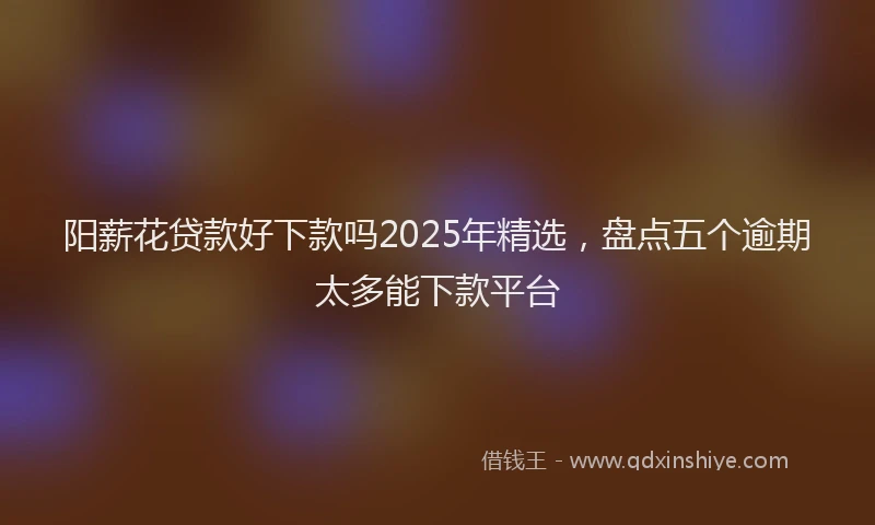 阳薪花贷款好下款吗2025年精选，盘点五个逾期太多能下款平台