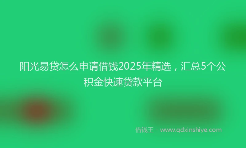 阳光易贷怎么申请借钱2025年精选，汇总5个公积金快速贷款平台