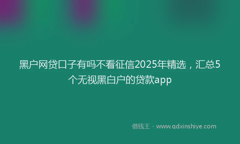 黑户网贷口子有吗不看征信2025年精选，汇总5个无视黑白户的贷款app