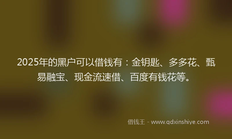 2025年的黑户可以借钱有：金钥匙、多多花、甄易融宝、现金流速借、百度有钱花等。