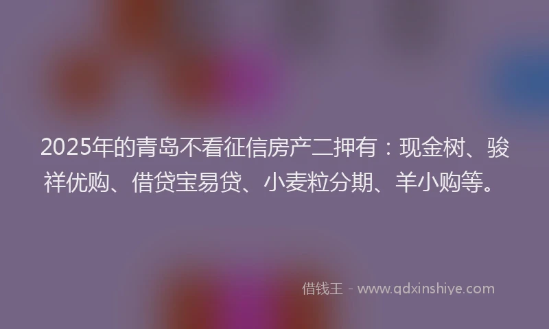 2025年的青岛不看征信房产二押有：现金树、骏祥优购、借贷宝易贷、小麦粒分期、羊小购等。