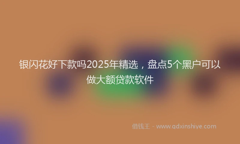 银闪花好下款吗2025年精选，盘点5个黑户可以做大额贷款软件