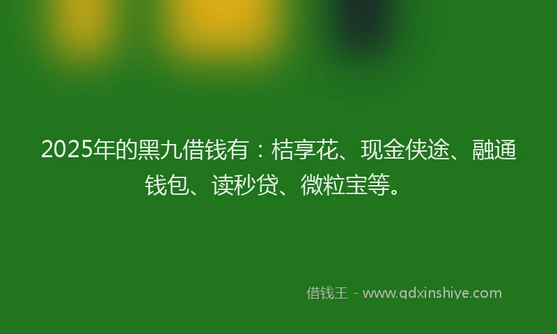2025年的黑九借钱有：桔享花、现金侠途、融通钱包、读秒贷、微粒宝等。