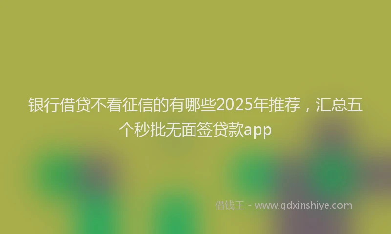 银行借贷不看征信的有哪些2025年推荐，汇总五个秒批无面签贷款app