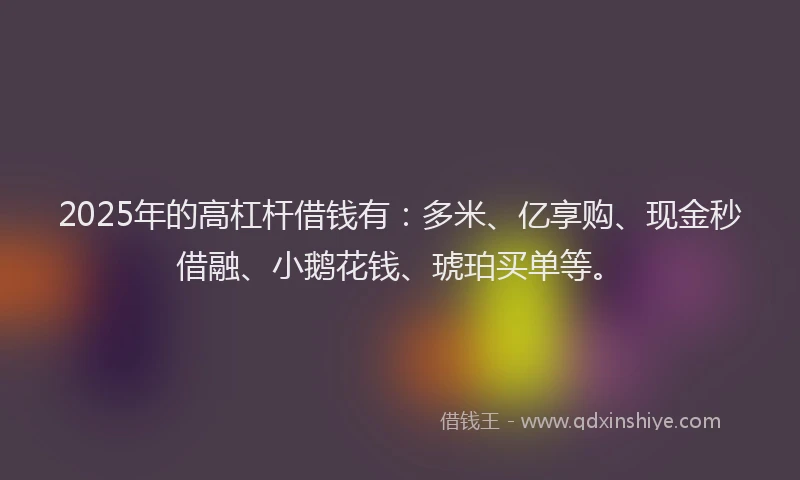 2025年的高杠杆借钱有：多米、亿享购、现金秒借融、小鹅花钱、琥珀买单等。