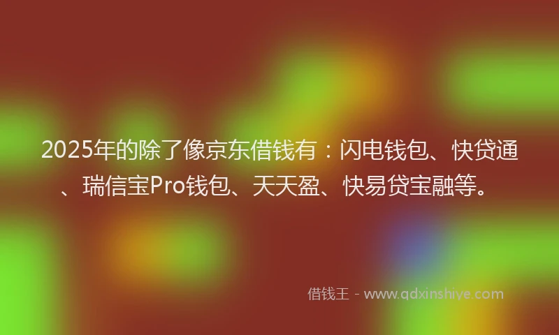2025年的除了像京东借钱有：闪电钱包、快贷通、瑞信宝Pro钱包、天天盈、快易贷宝融等。