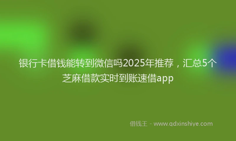 银行卡借钱能转到微信吗2025年推荐，汇总5个芝麻借款实时到账速借app