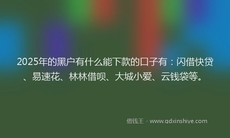2025年的黑户有什么能下款的口子有：闪借快贷、易速花、林林借呗、大城小爱、云钱袋等。