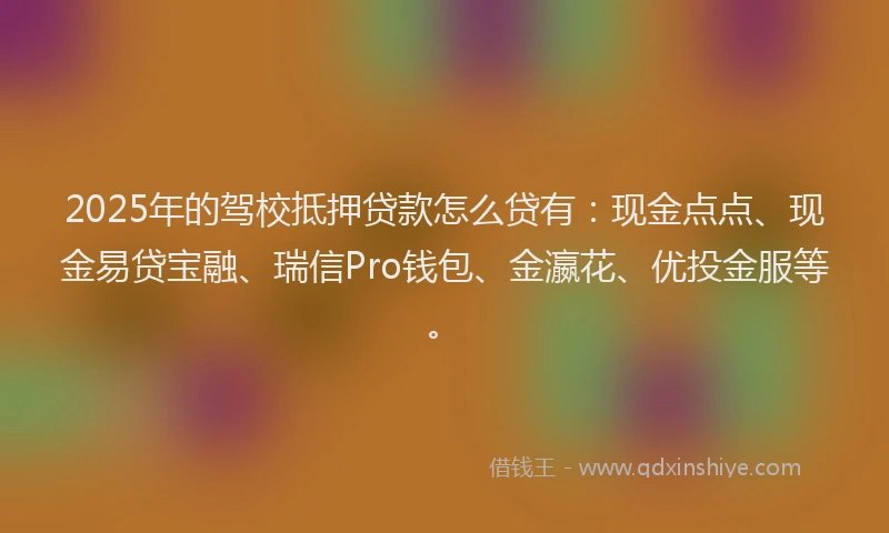 2025年的驾校抵押贷款怎么贷有：现金点点、现金易贷宝融、瑞信Pro钱包、金瀛花、优投金服等。