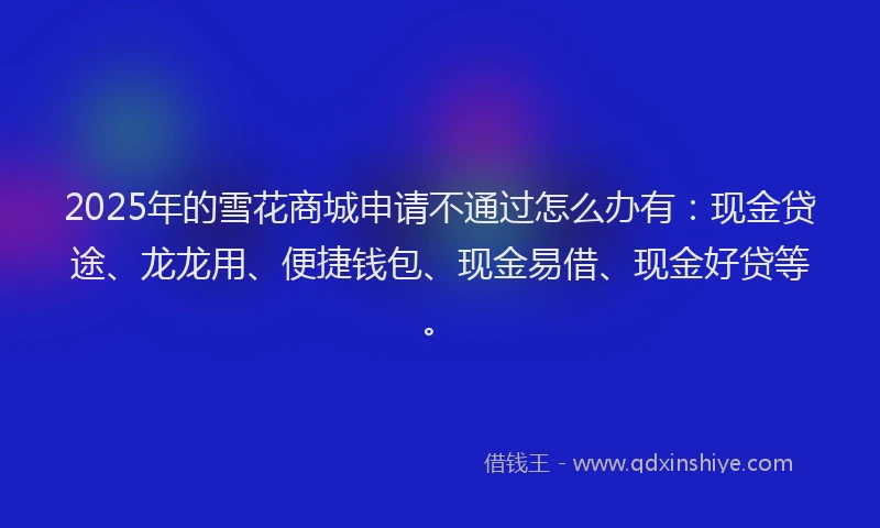 2025年的雪花商城申请不通过怎么办有：现金贷途、龙龙用、便捷钱包、现金易借、现金好贷等。