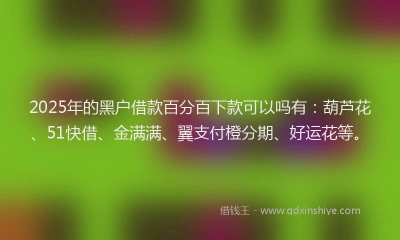 2025年的黑户借款百分百下款可以吗有：葫芦花、51快借、金满满、翼支付橙分期、好运花等。