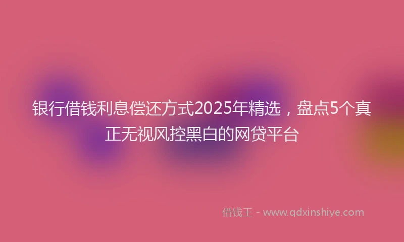 银行借钱利息偿还方式2025年精选，盘点5个真正无视风控黑白的网贷平台