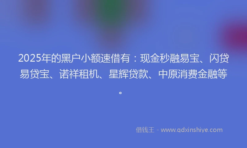 2025年的黑户小额速借有：现金秒融易宝、闪贷易贷宝、诺祥租机、星辉贷款、中原消费金融等。