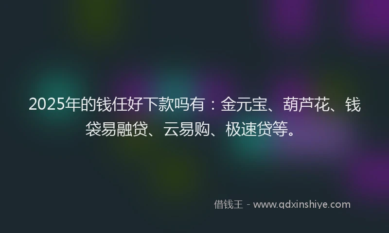 2025年的钱任好下款吗有：金元宝、葫芦花、钱袋易融贷、云易购、极速贷等。