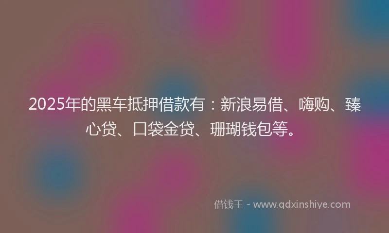 2025年的黑车抵押借款有：新浪易借、嗨购、臻心贷、口袋金贷、珊瑚钱包等。